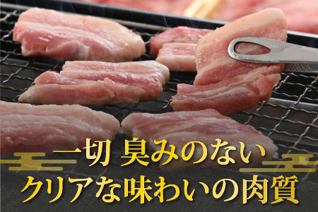 【福井のブランド豚肉】荒島ポーク バラ焼肉用 680g[A-054006]