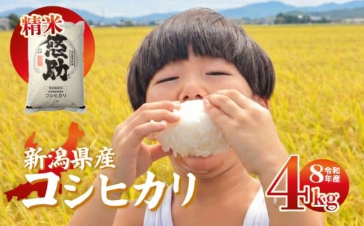 【先行予約】令和8年産 コシヒカリ 4kg 特別栽培米 単品 コンテスト 入賞 【 コンテスト 入賞米 米 おこめ お米 ブランド米 ご飯 ごはん オニギリ お弁当 kome 送料無料 数量限定 農家直送 産地直送 国産 川瀬農園 四代目 悠助 新潟 新発田 kwsKH001_202609  】　