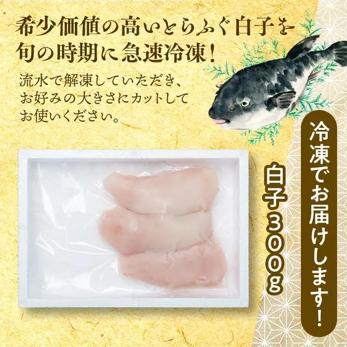 【数量限定】希少価値 白子 約300g ふぐ料理専門店 栄ふく 国産 | 白子