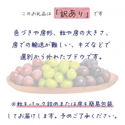 【2026年先行受付】岡山　花笑み農園のブドウ『訳あり3種以上MIX』1kg　W3M-1【配送不可地域：離島・北海道・沖縄県】