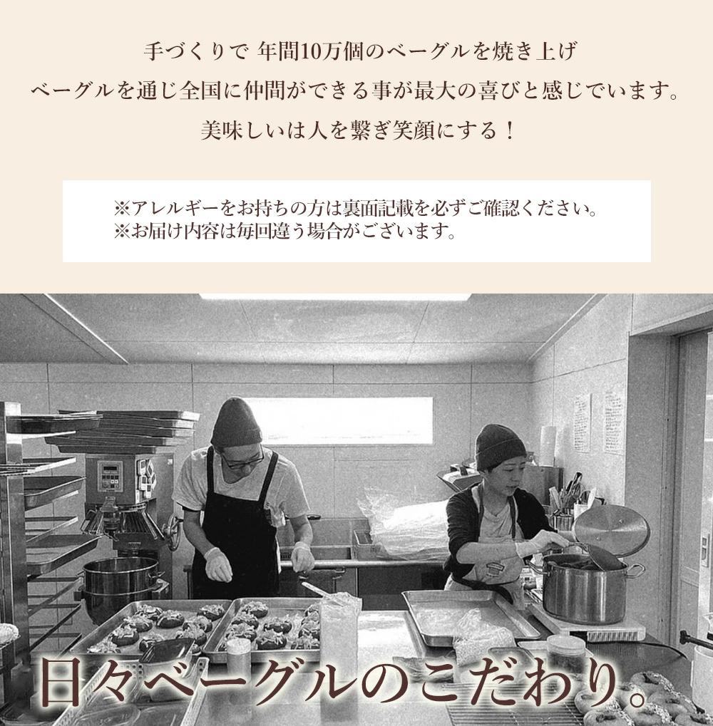 M158-0003_【ふるさと納税】ベーグル【6回定期便】日々ベーグル10種セット ベーグル ベーグル研究所 送料無料 アソートセット 香川県三豊市 あんこ ナッツ ドライフルーツ チョコ 無添加 フ