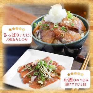 訳あり  ブリ 漬け丼 1食 80g × 10P 【漬け丼】