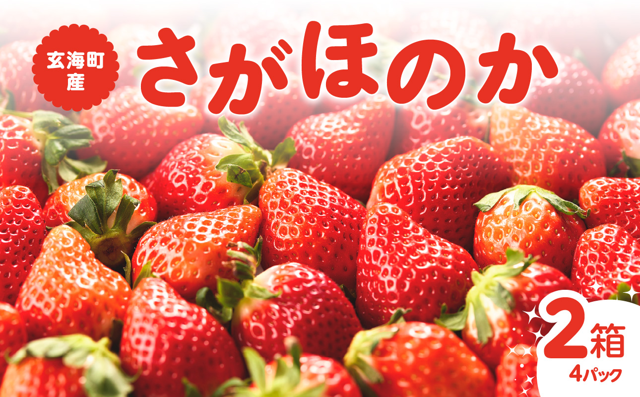 ★予約受付★平川いちご農園 佐賀県玄海町産いちご「さがほのかDX」12月〜5月順次配送