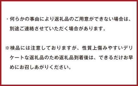 訳あり みかん 約10kg 蜜柑 ミカン 果物 くだもの フルーツ 【2025年10月上旬から2026年2月下旬順次発送予定】