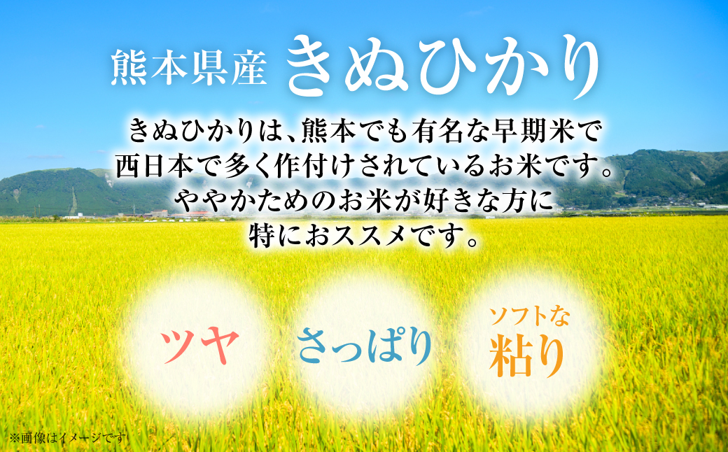 【令和7年産】 ≪新米≫  熊本県産 きぬひかり10kg （5kg×2袋） お米 白米 米 ヒノヒカリ 精米 国産 熊本県産 九州