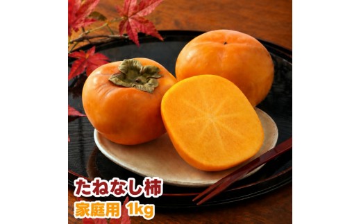 たねなし柿 1kg 家庭用 / 柿 刀根早生 平核無柿 富有柿 ※2026年9月下旬から11月上旬に順次発送 ※北海道・沖縄・離島への配送不可  【ikd504-c-1】