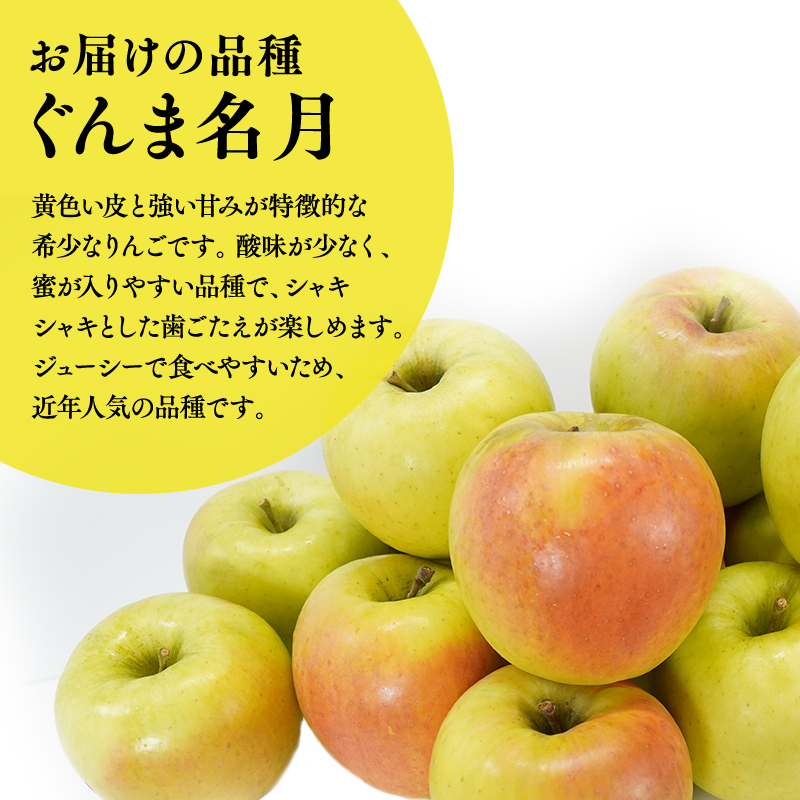10月下旬～発送　 訳あり ぐんま名月約3kg(家庭用)【なるみ農園・青森りんご・平川市産・数量限定】