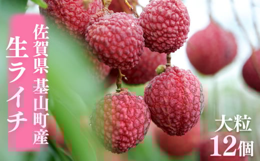 【先行受付】佐賀県産ライチ 大粒12個入(贈答用)【生ライチ ライチ 生 基山町産 贈答用 貴重 国産 大粒 新鮮 フレッシュ 肉厚 お中元 贈り物】 K060006