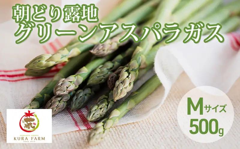 グリーンアスパラ 富良野産 朝どり露地アスパラ【約500g 25～35本】【先行予約】