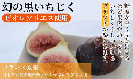 ちいさな 黒いちじく羊羹 小3本入り（43g x 3本） 高木羊羹本舗 和菓子　ネコポス便【A050-011】