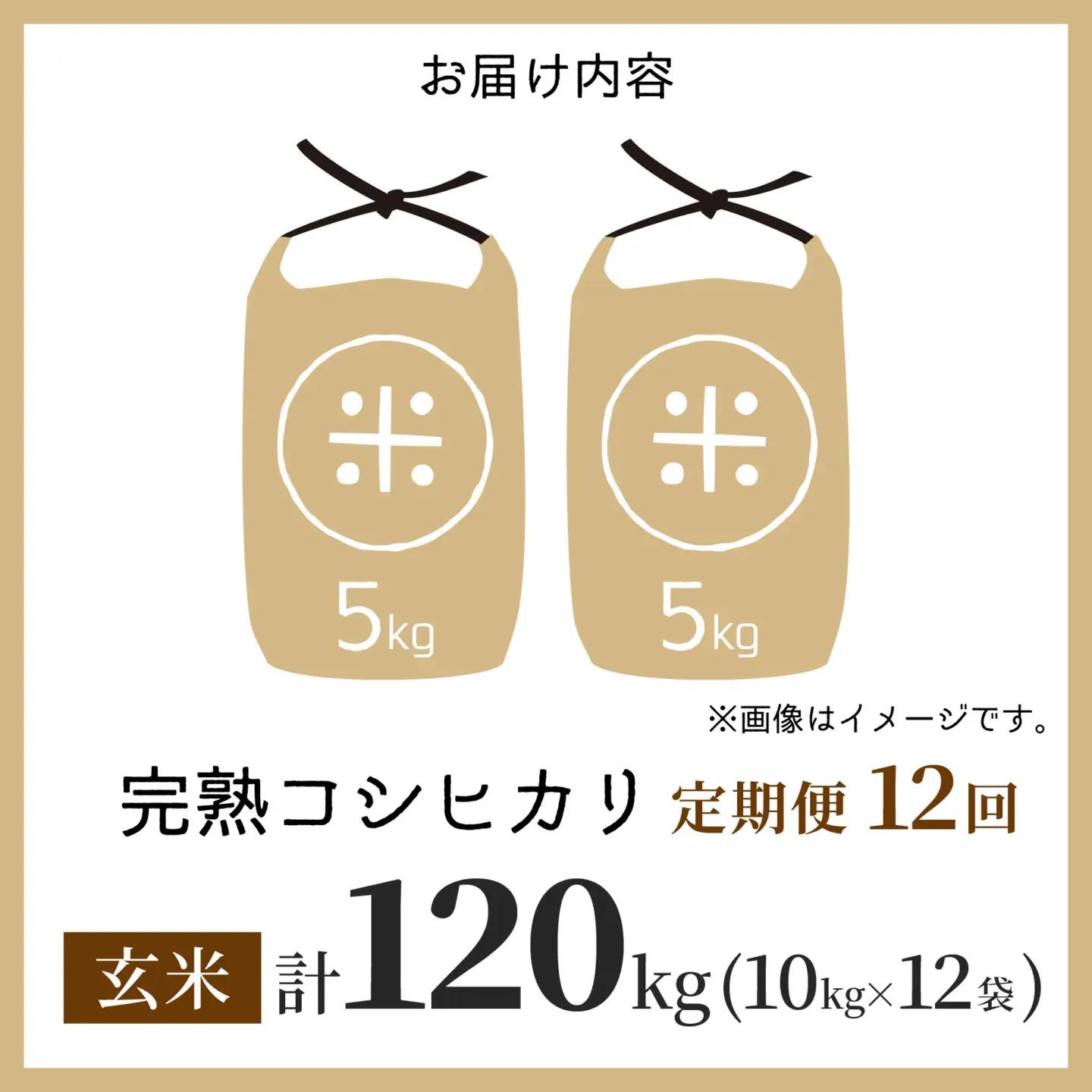 【先行予約】【令和8年産 新米】【12ヶ月定期便】くらもち完熟米 コシヒカリ 玄米 10kg（5kg×2袋）×12回　計120kg