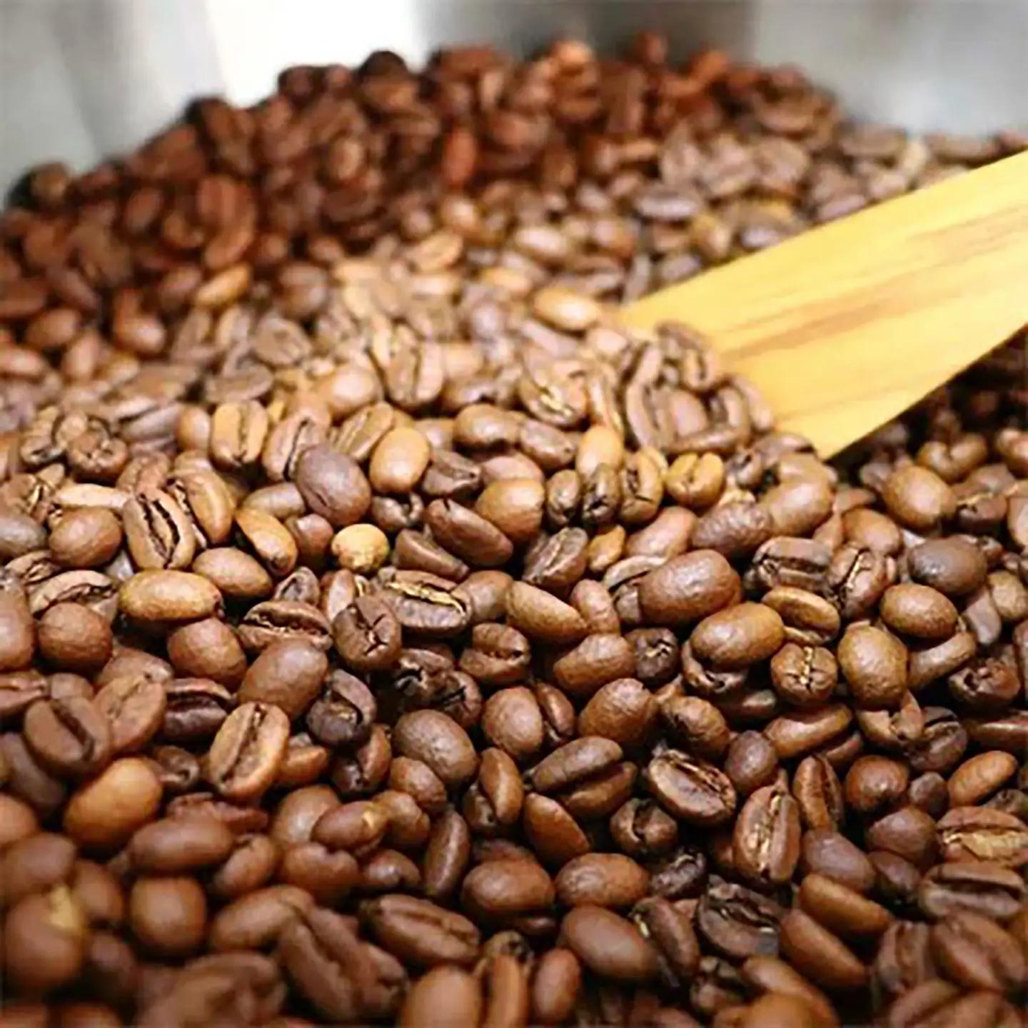 コーヒー 厳選スペシャルティコーヒー ドリップバッグ10個（2個×5種） 