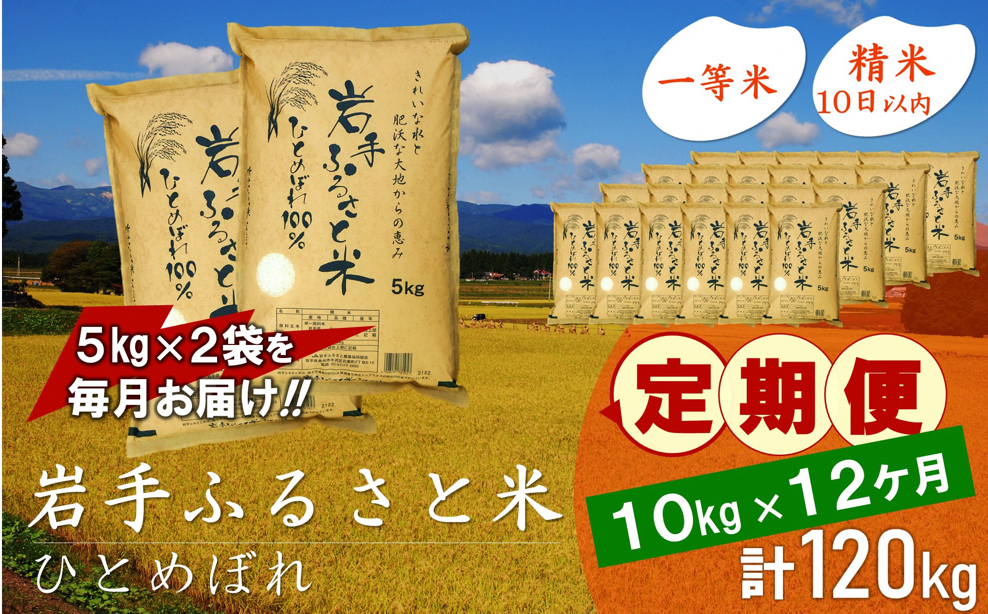 3人に1人がリピーター!☆全12回定期便☆ 岩手ふるさと米 10kg(5㎏×2)×12ヶ月 令和6年産 一等米ひとめぼれ 東北有数のお米の産地 岩手県奥州市産【配送時期に関する変更不可】 [U0171]