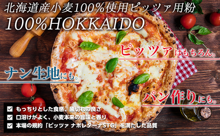 100% HOKKAIDO ピッツァ用粉 20kg TYUAI026