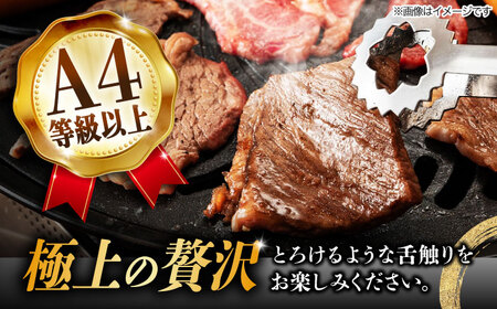 【6回定期便】 飛騨牛 焼肉用 ロース・肩ロース 1kg A4等級以上  多治見市 / 渡辺精肉店 和牛 ブランド牛 牛肉[TAZ036]