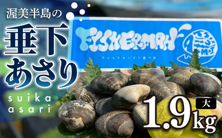 【先行予約】どでかい！垂下あさり 1.9kg 大 サイズ あさり ブランドあさり 浅利 ダシ 出汁 味噌汁 国産 アサリ 愛知県 田原市 新鮮 砂抜き 海鮮 魚介類 魚介 貝 人気 パスタ などに