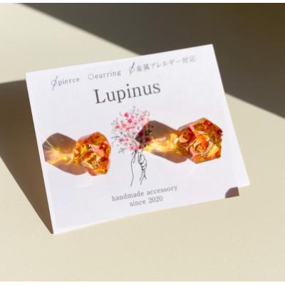 ふるさと納税 小山市 サージカルステンレス金属アレルギー対応ピアス・レッドカラー