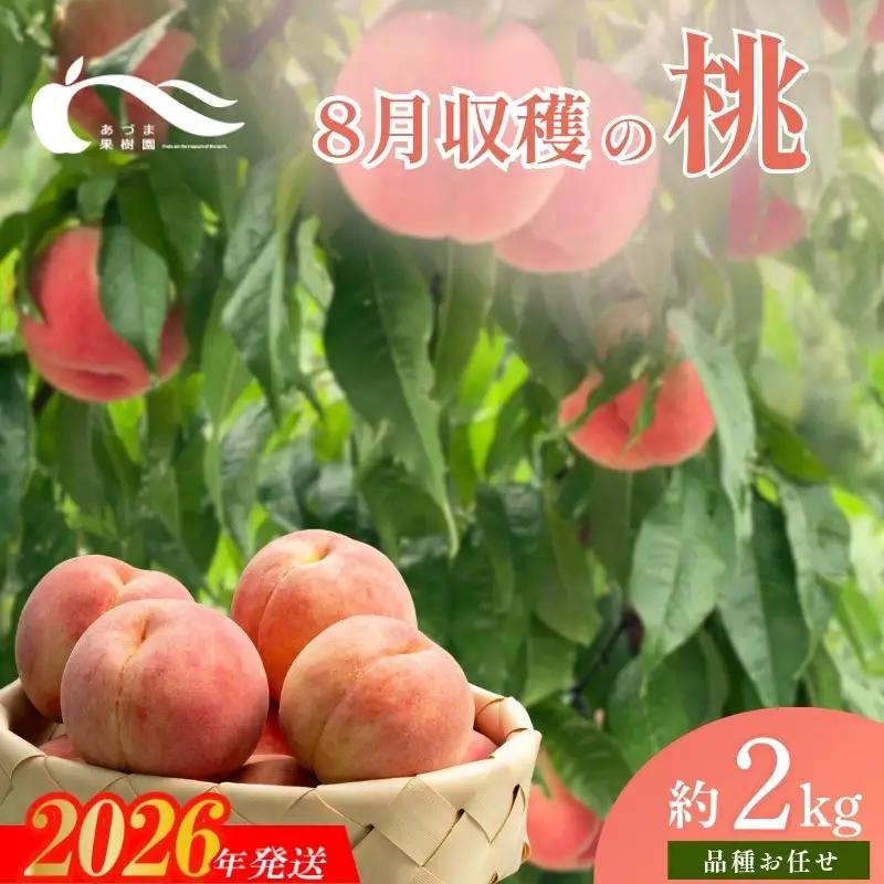 No.1758もも　8月収穫の桃　品種お任せ　約2kg【2026年発送】