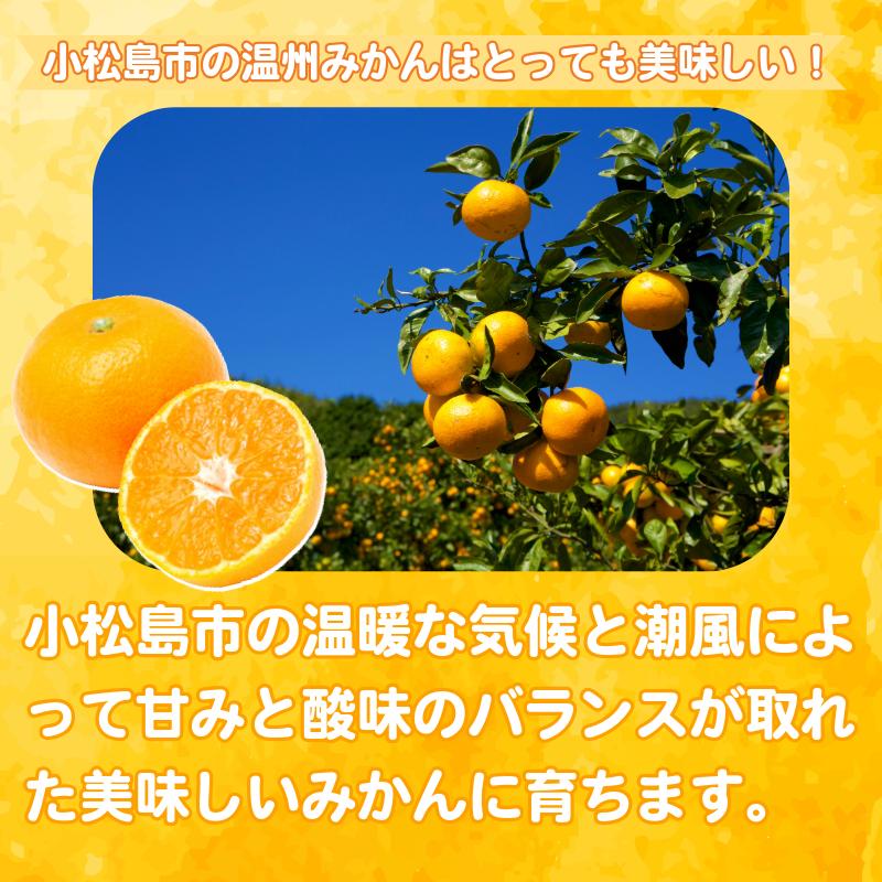 【2026年10月20から発送】 みかん 秀品 温州みかん 5kg ミカン 蜜柑 甘い フルーツ 柑橘 ジュース 小松島市 5kg オススメ 人気 ふるさと納税