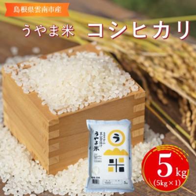 ふるさと納税 雲南市 神話の里/吉田町「うやま米」コシヒカリ 5kg(5kg×1)