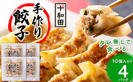 タレ無しで食べる十和田の手作り餃子【配送不可地域：離島】【1027372】