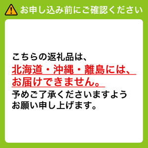 【2025年先行予約】［大原観光果樹園］ピオーネ 2房（約1.2kg）［026-a012］