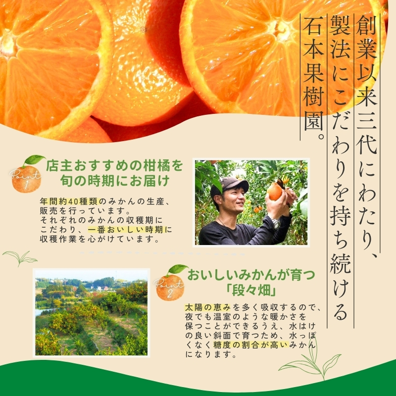 【全4回】 柑橘 定期便 石本果樹園 旬の柑橘を春夏秋冬でお届け！ / みかん フルーツ定期便 みかん フルーツ定期便 みかん フルーツ定期便 みかん フルーツ定期便 みかん フルーツ定期便 みかん 