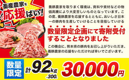 数量限定★生産者応援★ 豚肉 小分け バラエティセット9.2kg+300g うまかポーク《30日以内に出荷予定(土日祝除く)》｜豚肉豚肉豚肉豚肉豚肉豚肉豚肉豚肉豚肉豚肉豚肉豚肉豚肉豚肉豚肉豚肉豚肉豚肉