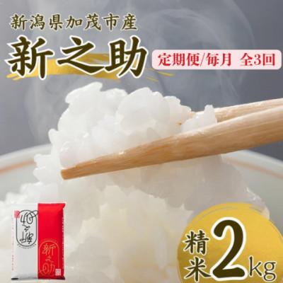 ふるさと納税 加茂市 【発送月固定定期便】新之助　精米2kg　2026年10月上旬より順次発送全3回