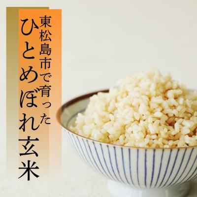 ふるさと納税 東松島市 【令和7年産】【新米】 ひとめぼれ 玄米 20kg × 1袋 宮城県産東松島市農家直送 |  | 01