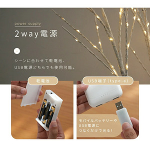 ブランチツリー3本 rise084