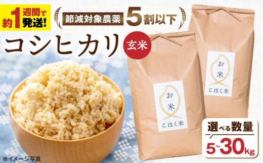 【スピード発送】【令和7年産】米 湖北産 コシヒカリ 30kg(玄米) 長浜市/株式会社エース物産[AQAK007] こしひかり 米 30kg お米 ご飯 ごはん ゴハン 近江米 滋賀県産 長浜市産 こめ 玄米 白米 精米 お米  食品 ふるさと納税 国産 炊きたて 米ギフト もちもち ブランド米  食卓 美味しい 人気 ごはん ご飯 おにぎり 炊き込みご飯 おすすめ プレゼント 贈答