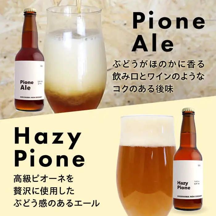 【全6回定期便】クラフトビール（地ビール）6種類[APCA005] ビール
