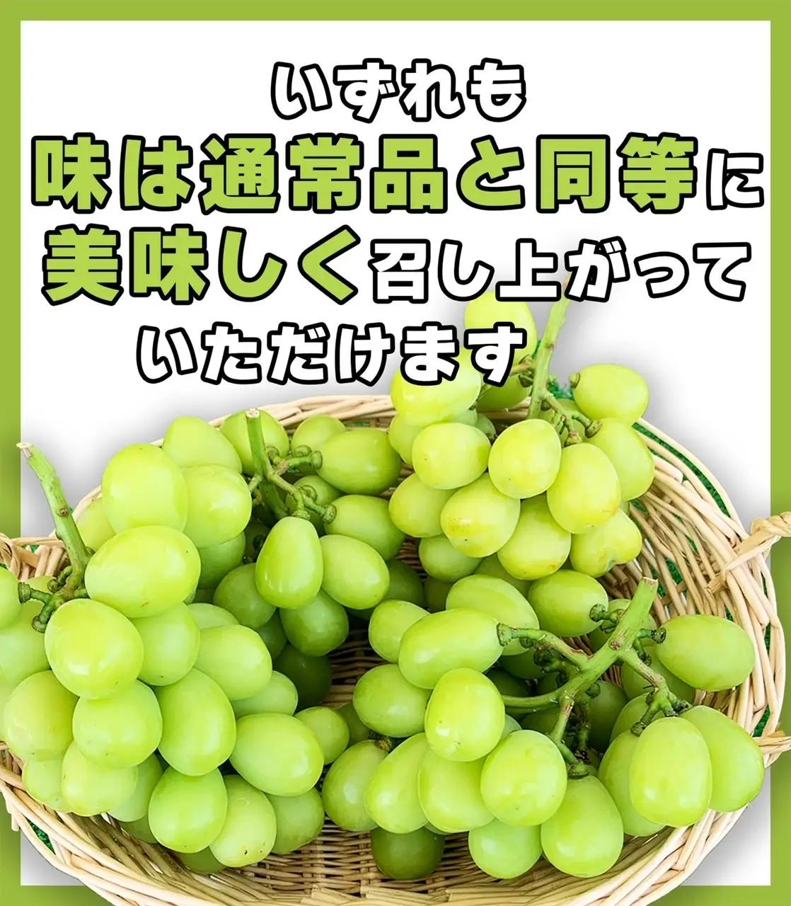 訳あり シャインマスカット 家庭用 約2kg（4~6房）※最低1.8kg以上 | シャインマスカット