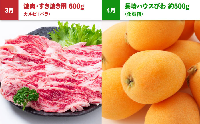 【4回定期便】長崎和牛と旬のフルーツが楽しめる バラエティ定期便 / フルーツ定期便 果物定期便 肉定期便 牛肉 びわ メロン ぶどう みかん / 南島原市 / 贅沢宝庫 [SDZ056]