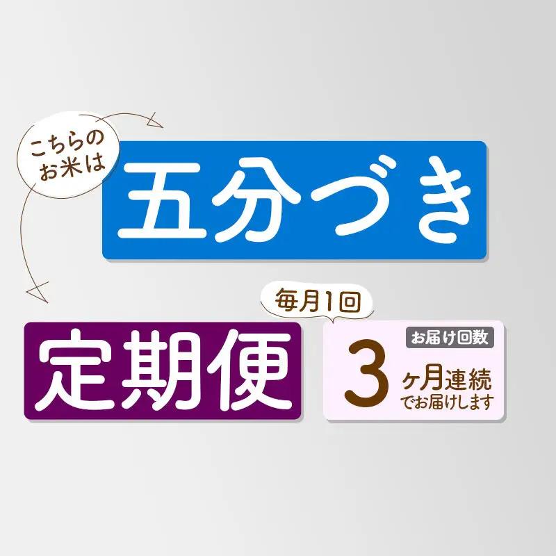 《定期便3ヶ月》【5分搗き】あきたこまち 5kg 秋田県産 令和7年産 こまちライン