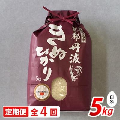 ふるさと納税 南丹市 【毎月定期便】京都丹波産 キヌヒカリ 5kg 精米全4回