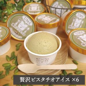 アイス職人の作るこだわりアイスクリーム6個セット　ピスタチオアイス　各90ml入り【配送不可地域：離島】【1148911】