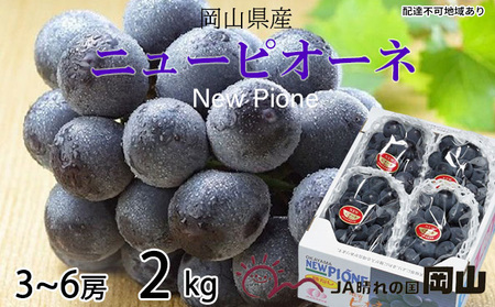 ぶどう 2026年 先行予約 ニュー ピオーネ 3房～6房 約2kg 8月下旬～10月上旬発送 ブドウ 葡萄  岡山県産 国産 フルーツ 果物 ギフト 岡山の葡萄 デザート 食後 