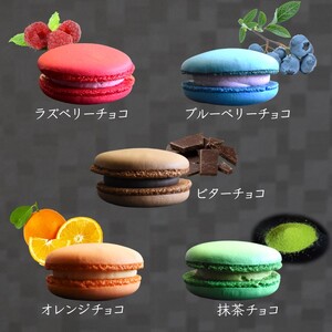 5色の生チョコマカロン 生マカロン 5個入り 生チョコ