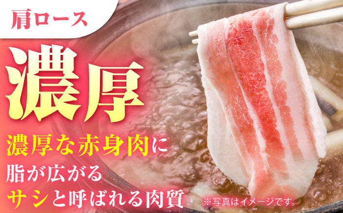 【ブランド豚を堪能】肥前さくらポーク しゃぶしゃぶセット【JAさが 杵島支所】 [HAM027]