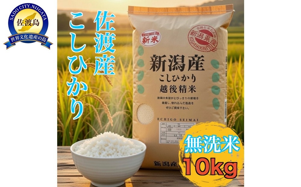 
                  【令和7年産】佐渡産コシヒカリ 無洗米10kg（5kg×2袋）単一原料米 世界農業遺産の島 | 新潟県産コシヒカリ 新潟産コシヒカリ 佐渡産コシヒカリ 新潟県産こしひかり 佐渡産こしひかり トキ 朱鷺 お米 米 こしひかり 無洗米 むせんまい 精米 ブランド米 おこめ コメ 10キロ にいがた さど 新潟県 佐渡市
                