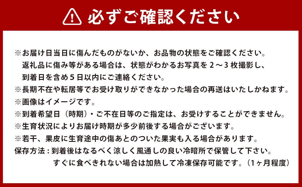 【年3回定期便】アールスメロン2玉入り（化粧箱入り）×3回