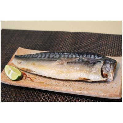 ふるさと納税 牛久市 【2ヵ月毎定期便】大トロさば文化干し 1枚 真空 6パック (茨城県共通返礼品 :神栖市)全3回 |  | 01