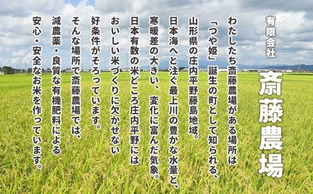 【令和5年産】 斎藤農場の特別栽培米 雪若丸 10kg（5kg×2） A45-006
