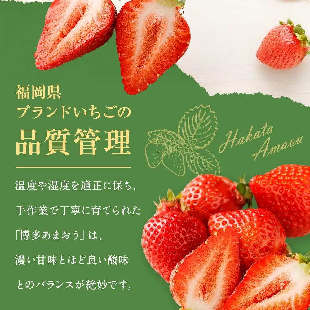 【先行予約】【アフター保証】4月発送！「博多あまおう」約250g×4パック【ほたるの里】_HA0526