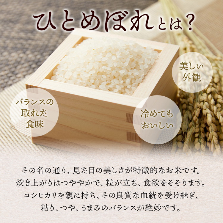 令和7年産 いなわしろひとめぼれ( 精米 ) 5kg 新米 ｜ お米 白米 福島 やわらかい 和食_イメージ2