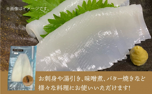 剣先イカ 刺身（大）3杯《壱岐市》【株式会社マルショウ】[JEW004] いか イカ 冷凍 剣先いか いかさし 海産物 魚介 刺し身 18000 18000円
