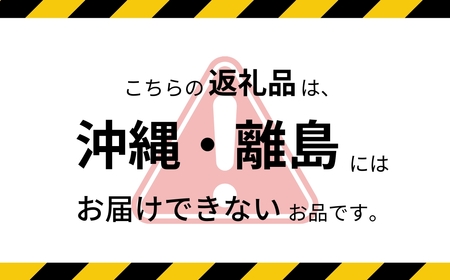 【2026年先行予約】ザ・王道 りんご サンふじ 約3kg |りんご