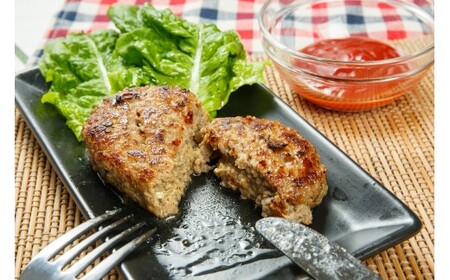 佐賀牛スライスと佐賀牛トロフレークハンバーグ _d-22